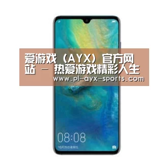华为无线快充手机