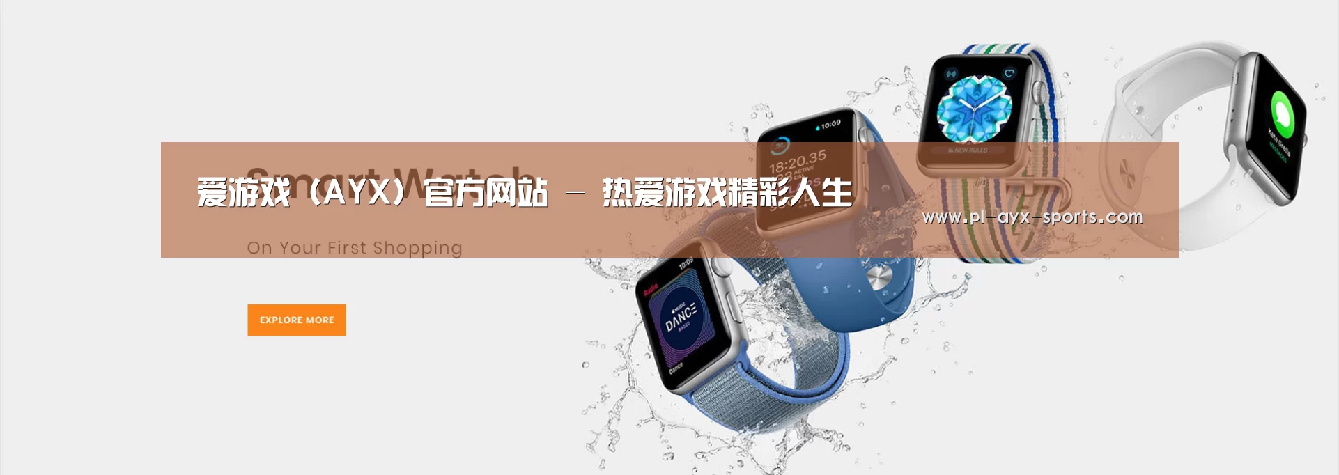 某某网络科技有限公司