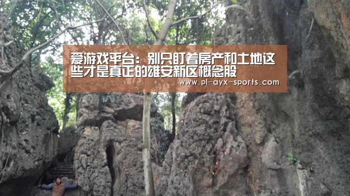 爱游戏APP