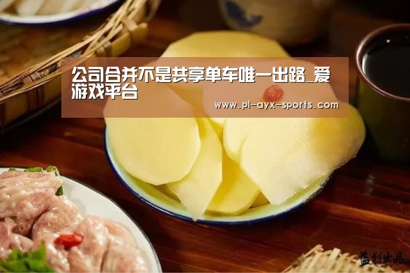 公司合并不是共享单车唯一出路_爱游戏平台(图1) 爱游戏全站