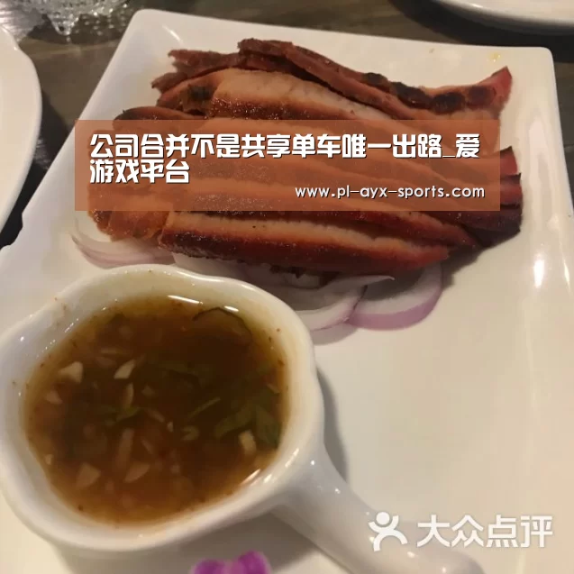 公司合并不是共享单车唯一出路_爱游戏平台(图3) 爱游戏全站