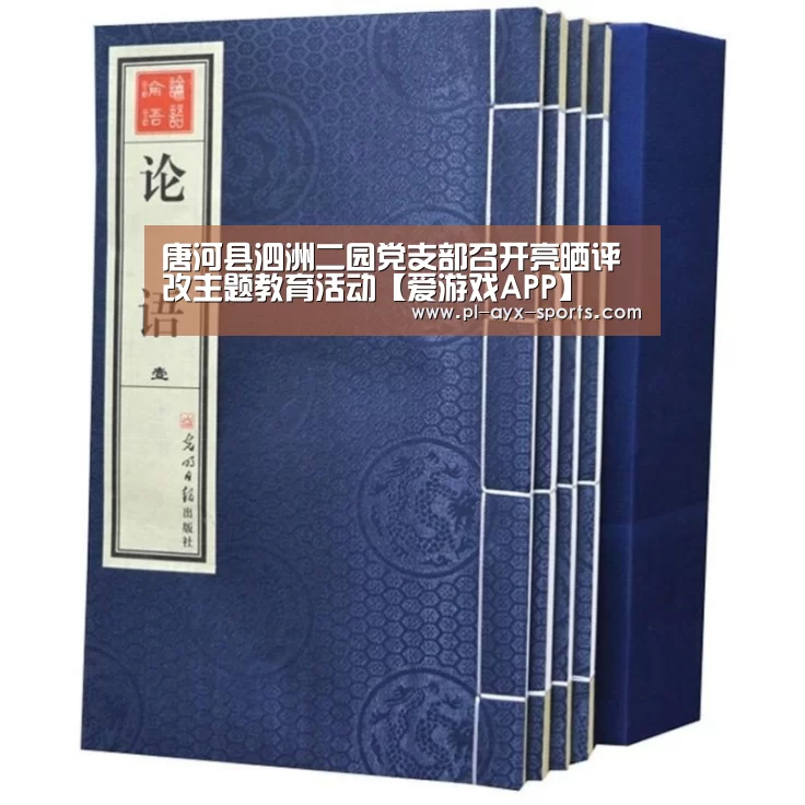 唐河县泗洲二园党支部召开亮晒评改主题教育活动【爱游戏APP】(图1) 爱游戏入口