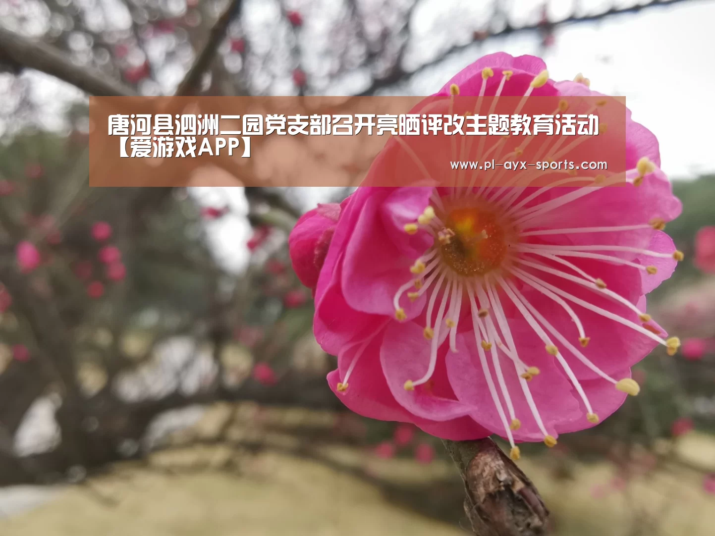 唐河县泗洲二园党支部召开亮晒评改主题教育活动【爱游戏APP】(图3) 爱游戏APP