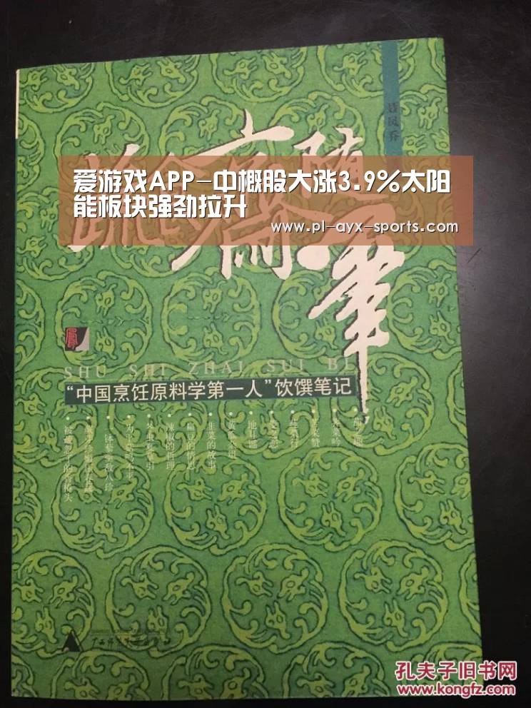 爱游戏APP-中概股大涨3.9%太阳能板块强劲拉升(图1) 爱游戏APP