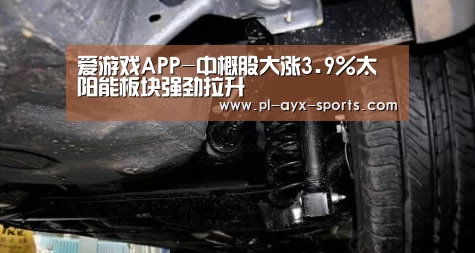 爱游戏APP-中概股大涨3.9%太阳能板块强劲拉升(图3) 爱游戏平台