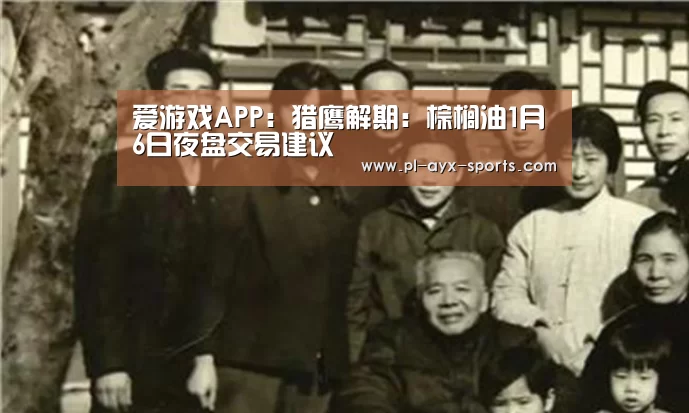 爱游戏APP:猎鹰解期:棕榈油1月6日夜盘交易建议(图2) 爱游戏平台